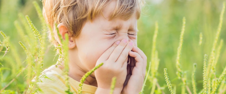 Allergie aux pollens