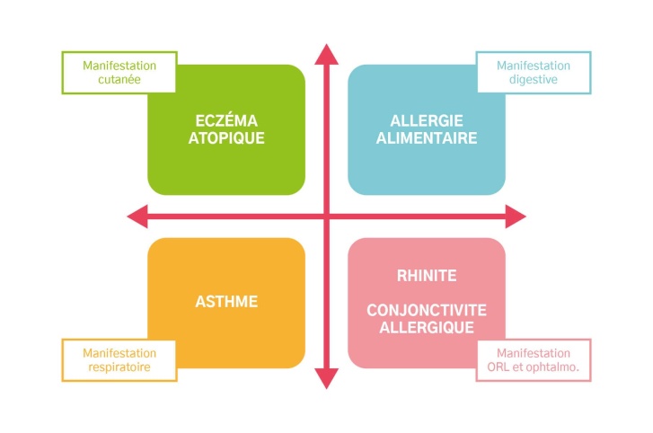 les autres formes d'atopie