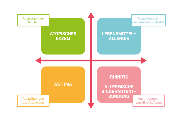 Die verschiedenen Erscheinungsformen der Atopie: atopisches Ekzem/Asthma/Nahrungsmittelallergie/Rhinitis - allergische Konjunktivitis